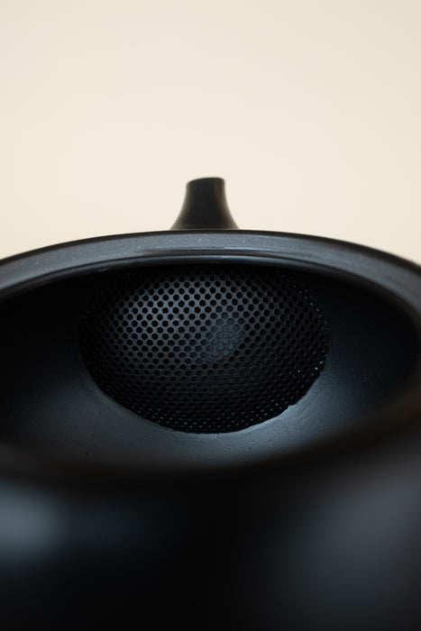 Kikumaru Tokoname Kyusu - Black