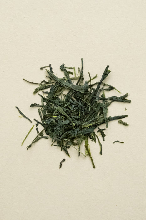 Sencha