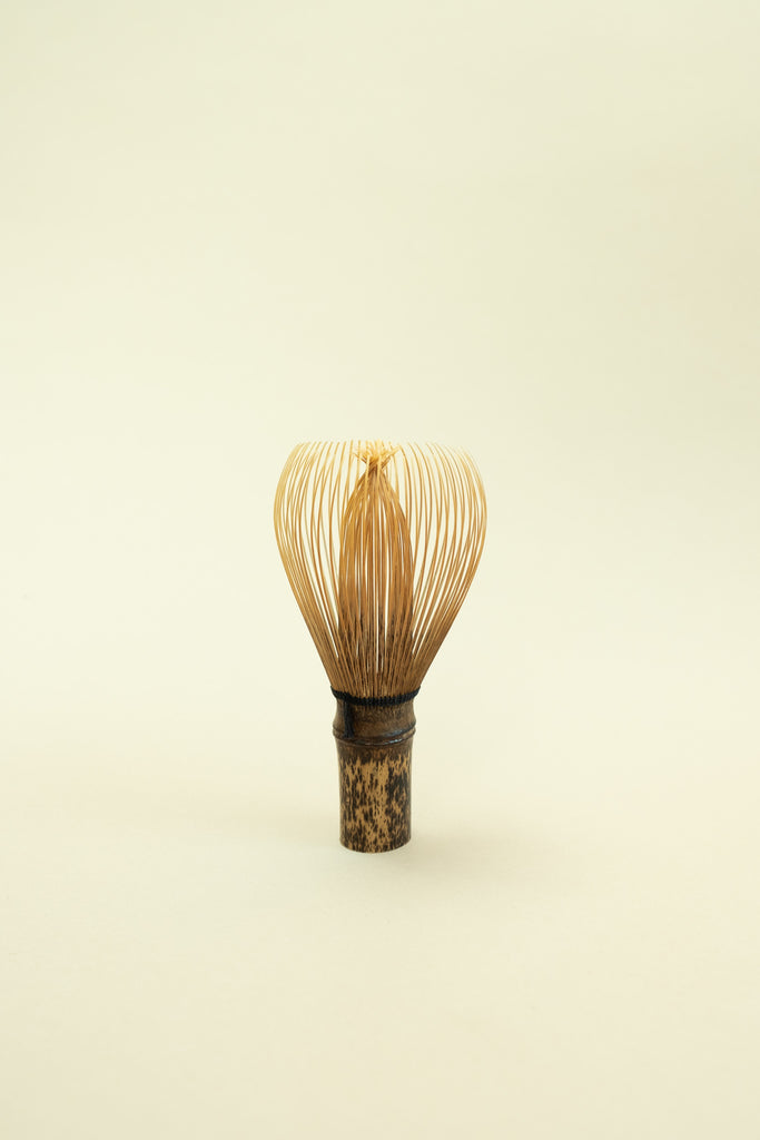 Shin Kazuho Chasen - Black Bamboo – Feature Flora