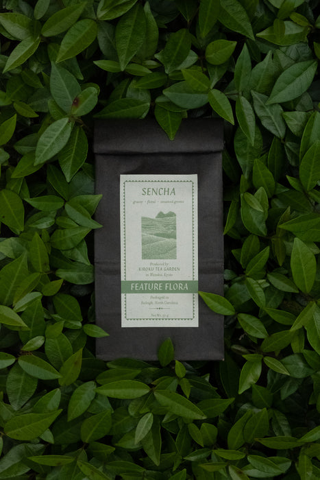 Sencha